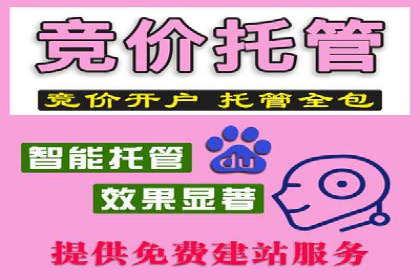 百度优化推广全解析：从零到一的流量增长